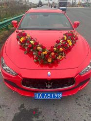 -蚂蚁婚车