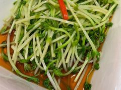 白灼豆苗-火宫殿·湘菜小吃·商务宴请·生日聚会(东塘店)