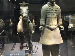 -骏途旅游