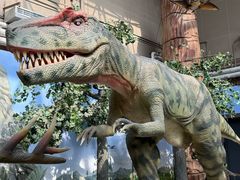 -国家自然博物馆