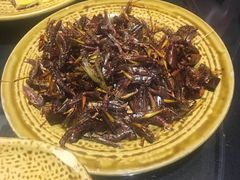 -昆虫窝子·特色云南菜(拓东路总店)
