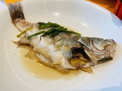 清蒸鲈鱼-盒马鲜生(丁香国际店)