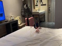 -汉庭(合肥火车南站北广场店)