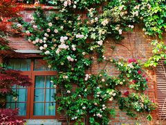 -南京民俗博物馆(甘熙故居)