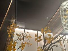 -京华烟云·北京烤鸭(领展购物广场·中关村店)
