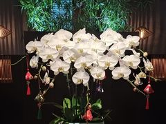 -庐灶江南·江南菜·四合院Bistro(东直门雍和宫·原华侨宾馆店)
