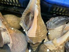 -吴记富苑(朝阳店)