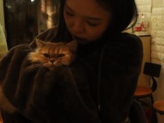 -平行世界·猫咖(首经贸店)