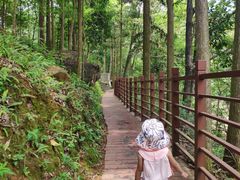 -广州市石门国家森林公园