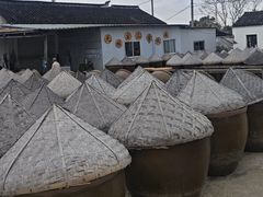 -苏州市吴中区光福窑上花果蜜饯厂