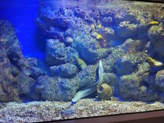 -福州罗源湾海洋世界旅游区