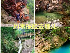 -南海湾森林生态园
