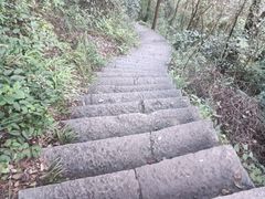 -黔灵山公园