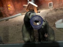 -酷嗒动物文化乐园(cutezoo西溪乐天城店)