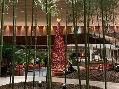 -北京望京凯悦酒店The Lounge大堂酒廊