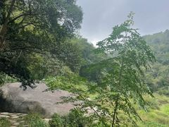 -长沙黑麋峰国家森林公园