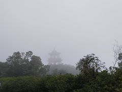 -梧桐山风景名胜区