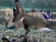 -成都浩海立方海洋公园