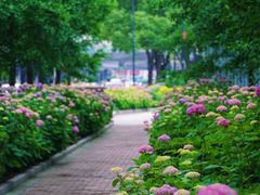 -万达影城(闵行颛桥万达广场杜比影院店)