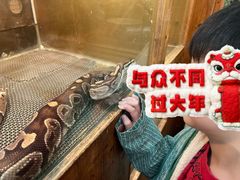 -上海大自然野生昆虫馆(东方明珠·爬宠昆虫探索中心)