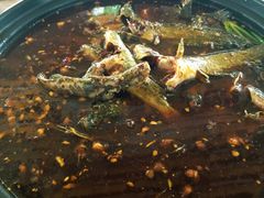 -金海椒罐罐鲢鱼(东方桂苑店)