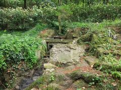 -宁波市保国寺古建筑博物馆