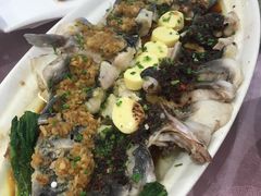 三味长江鮰鱼-金八仙酒店