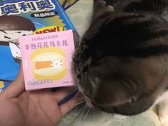 -好利来(东直门银座店)