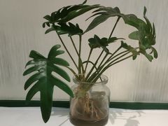 -玲珑小镇·杭帮私房菜
