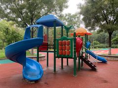 -大兴滨河森林公园