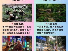 -成都大熊猫繁育研究基地