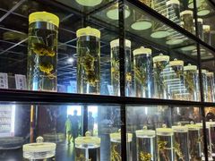 -广东中医药博物馆