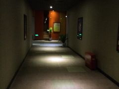 iphone_upload_pic-万达影城(长沙婚庆公园中国巨幕店)