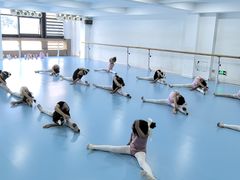 -西安小天鹅艺术团(曲江Alice店)