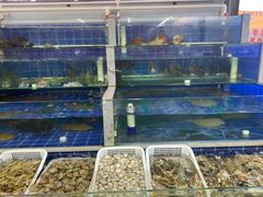 水产区-常家活海鲜小吃(仅一家无分店)