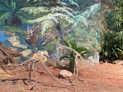 -自贡恐龙博物馆