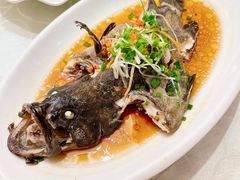 清蒸石斑鱼-阿英煲(凉城路店)