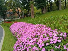 -四海公园(南山区)