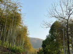 -乌镇景区