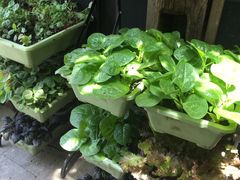 -旅马餐厅(茅家埠店)