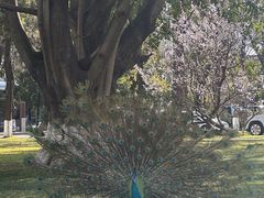 -西昌邛海宾馆