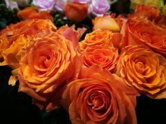 -爱尚幸福鲜花(上地实体店)
