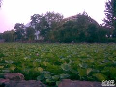 -南戴河国际娱乐中心