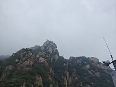 -大岭沟猕猴桃谷风景区