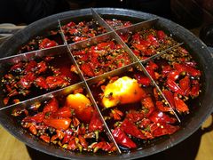 -白乐天毛肚火锅馆(解放碑店)