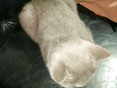 -MIKAKU(万达广场上海宝山店)