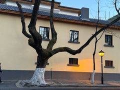 -颐和路民国时期公馆风貌区