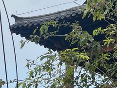-黄葛古道