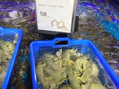 水产区-盒马鲜生(岭南新世界店)