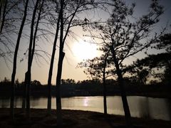 -大兴滨河森林公园